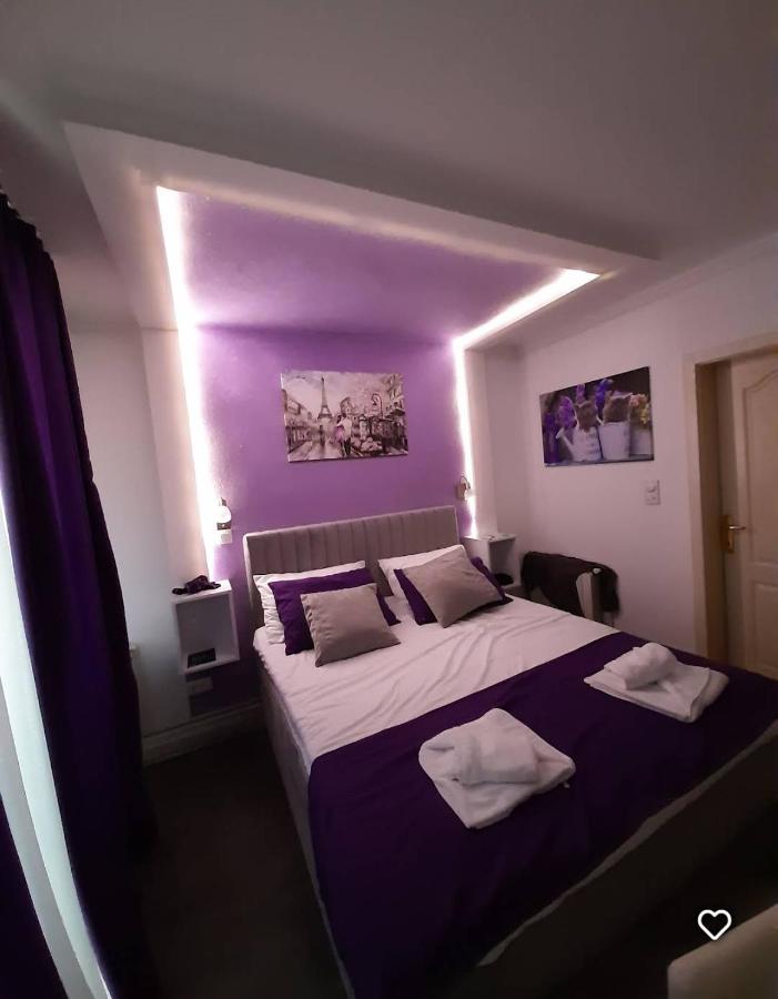 Studio Sestica vila Lenka2 - Bed and Breakfast Vrnjačka Banja