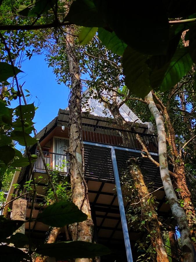 300 Hills Fort - B&B