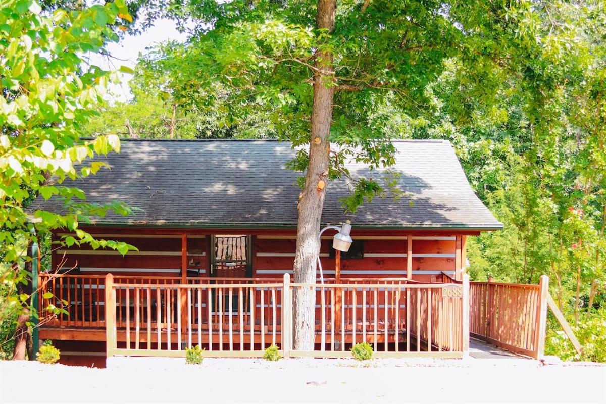 Bluff Mountain View - Bed and Breakfast