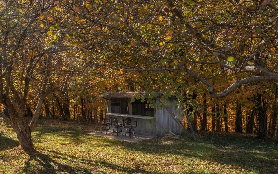 Bourb Inn - B&B Waddy