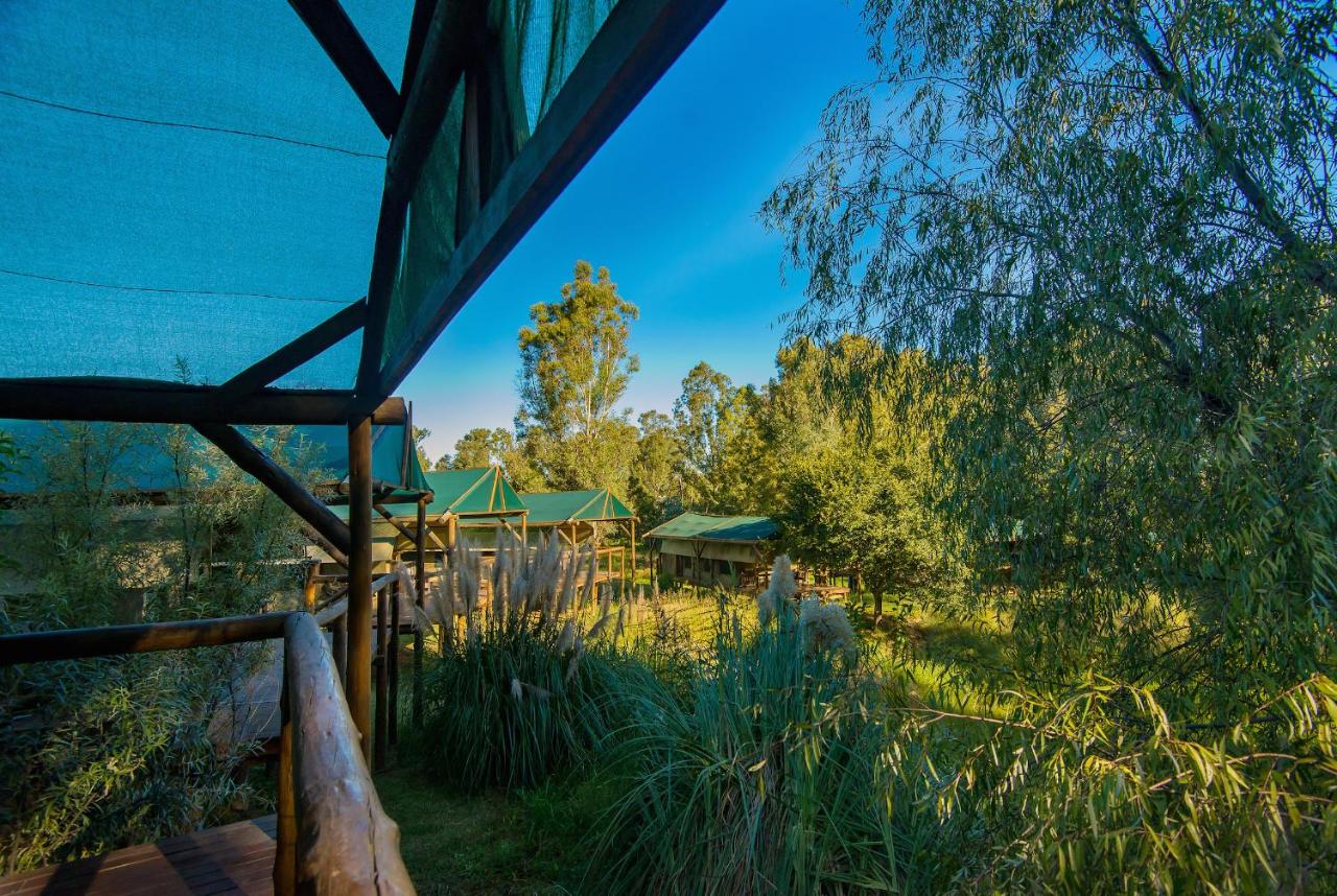 Safari Tent