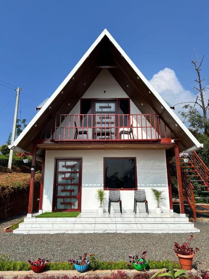 Verdant peaks Homestay - B&B