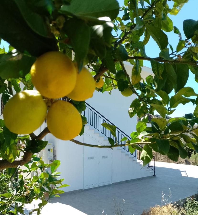 Casa Vacanze