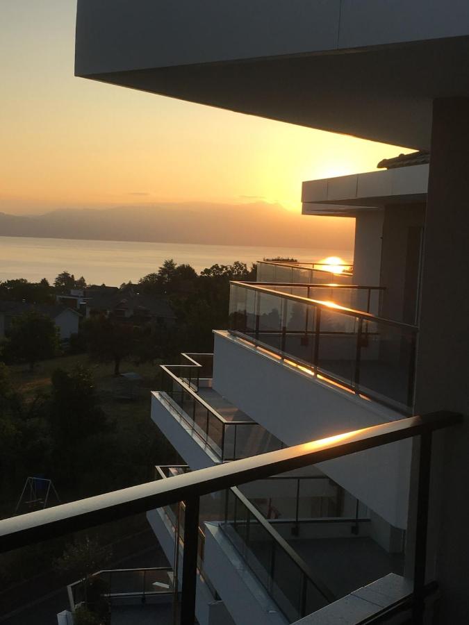 Splendid 3-room apartment with panoramic view - B&B Neuvecelle
