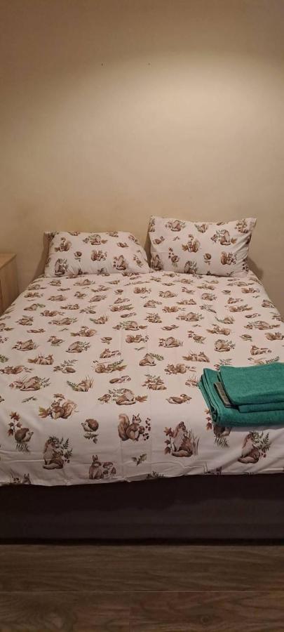 Charming Leicester Guest Room with Shared Facilities - Bed and Breakfast Leicester