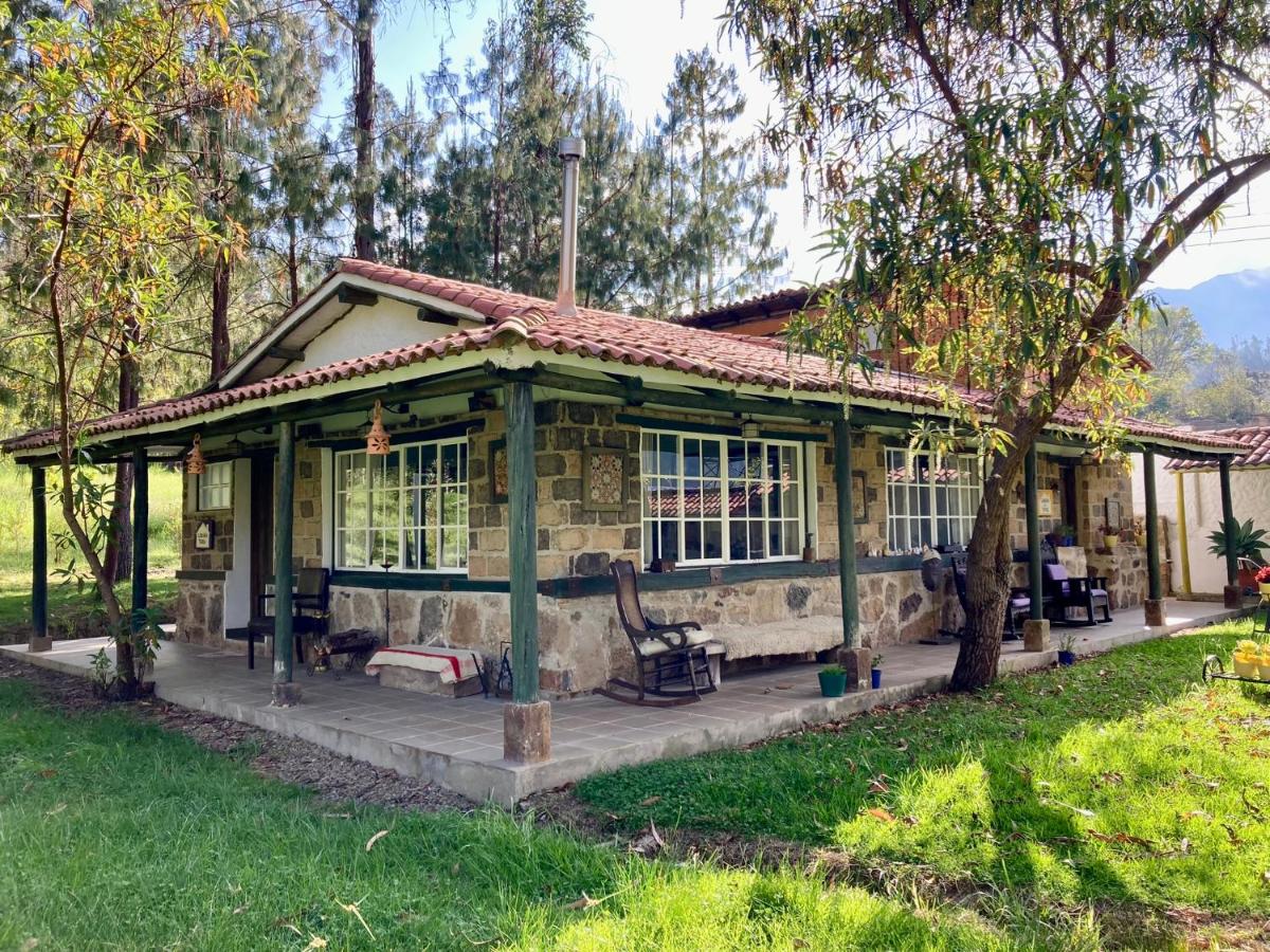 Bungalow mit Gartenblick