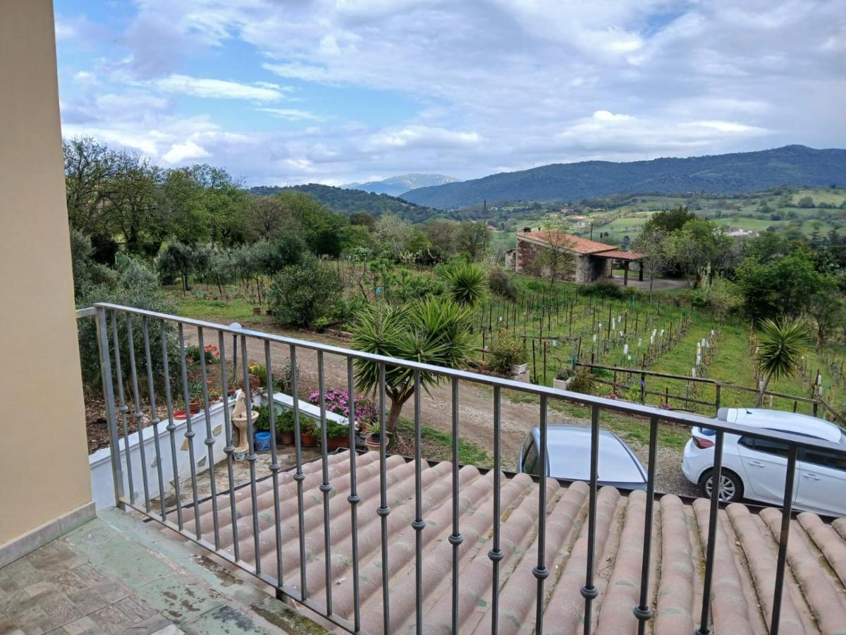 Da Nonna Maria Ozieri - Bed and Breakfast Ozieri