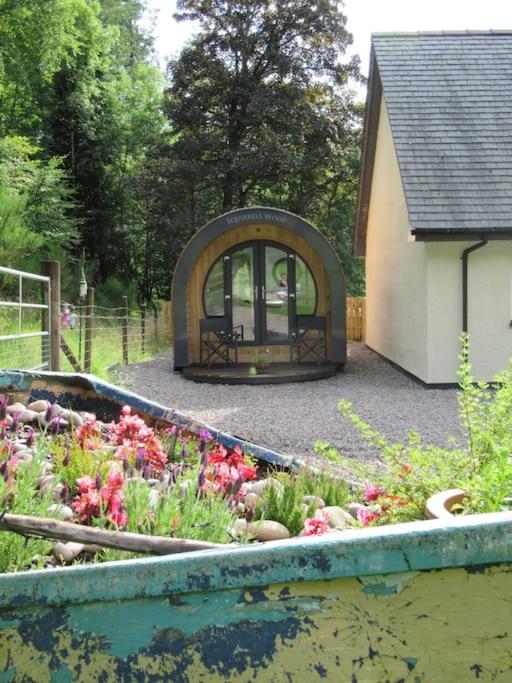 Squirrels Wood Lodge, nr Glencoe, dog friendly - Bed and Breakfast Acharra