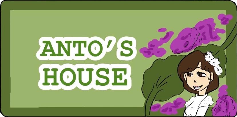 Anto's House - B&B