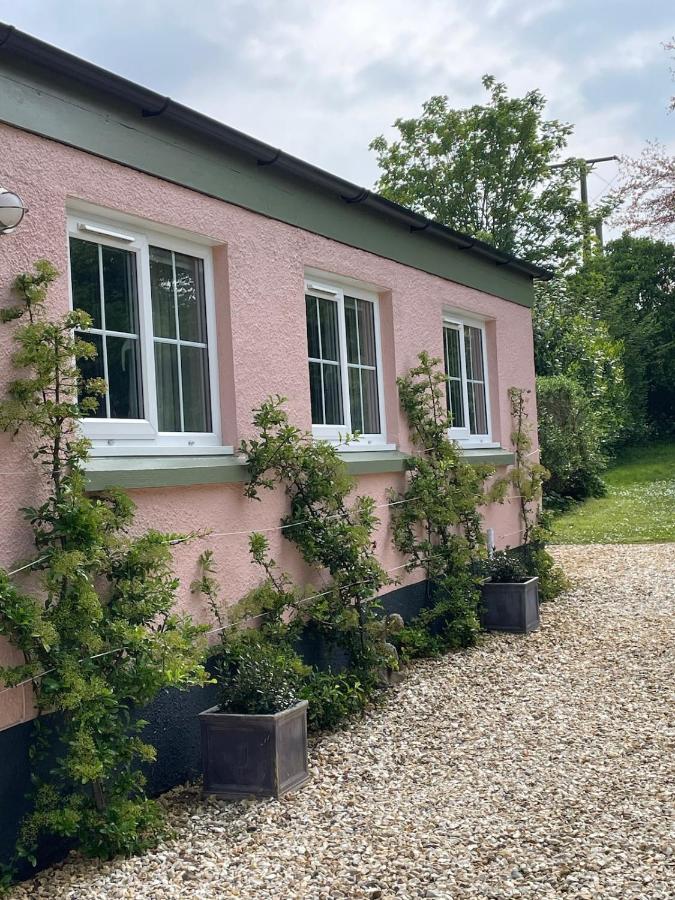 Garden cottage near River Exe - B&B