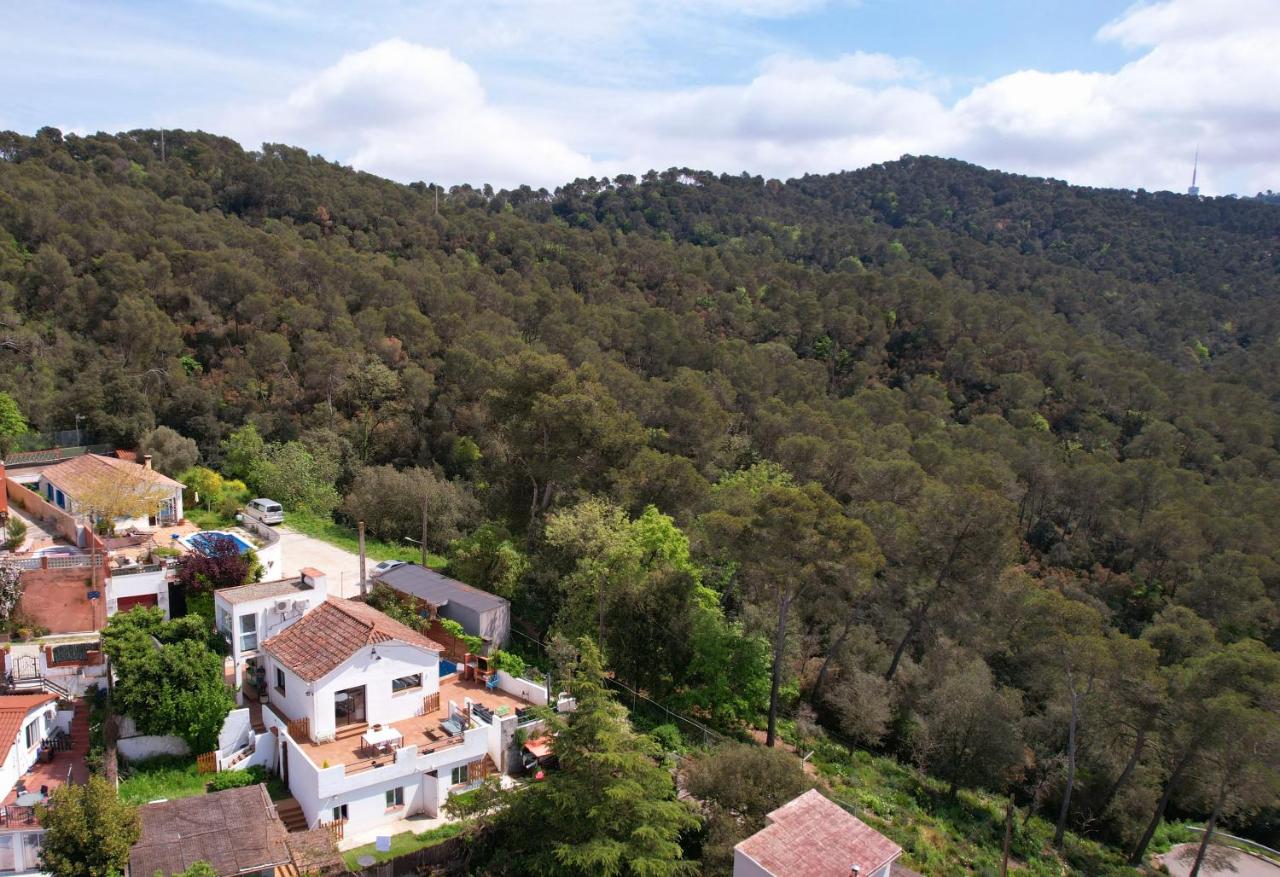 Forest Escape near Barcelona - Chambres d’hôtes Sant Cugat del Vallès