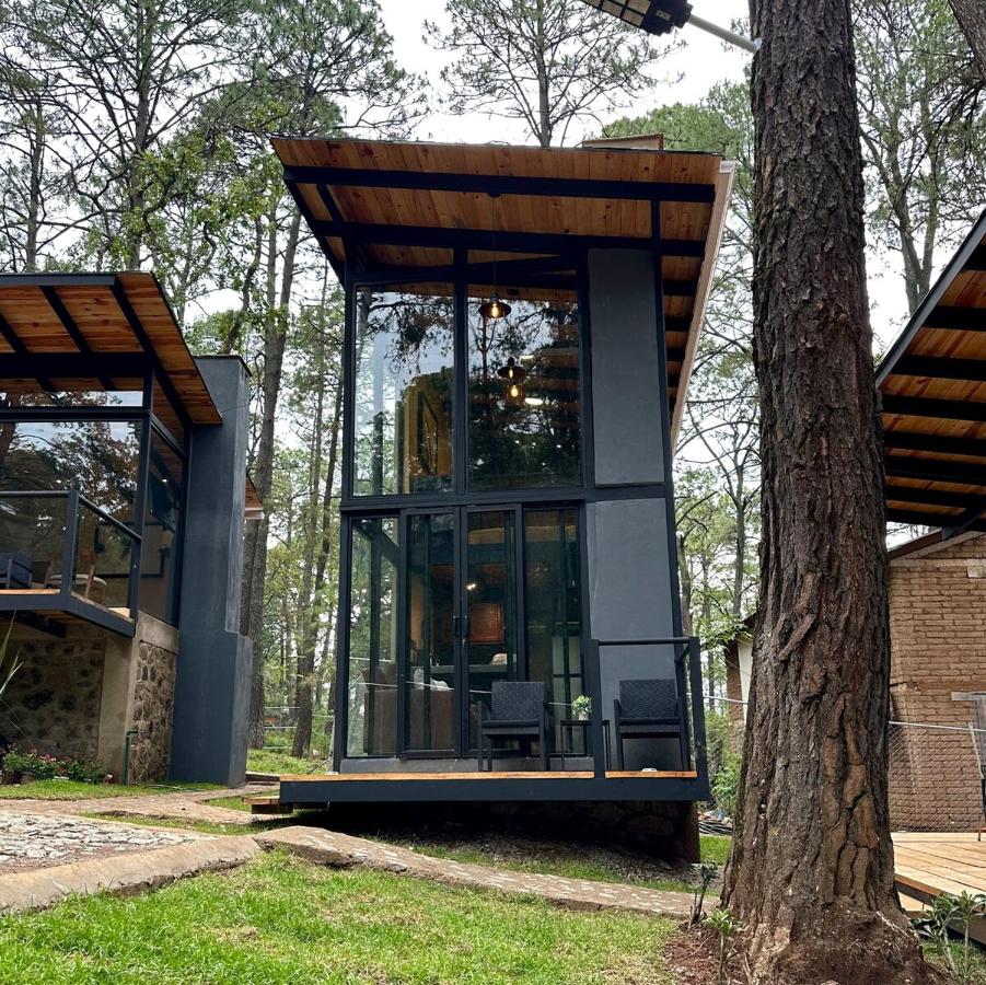 Cabaña del bosque 2 - B&B Los Espinos