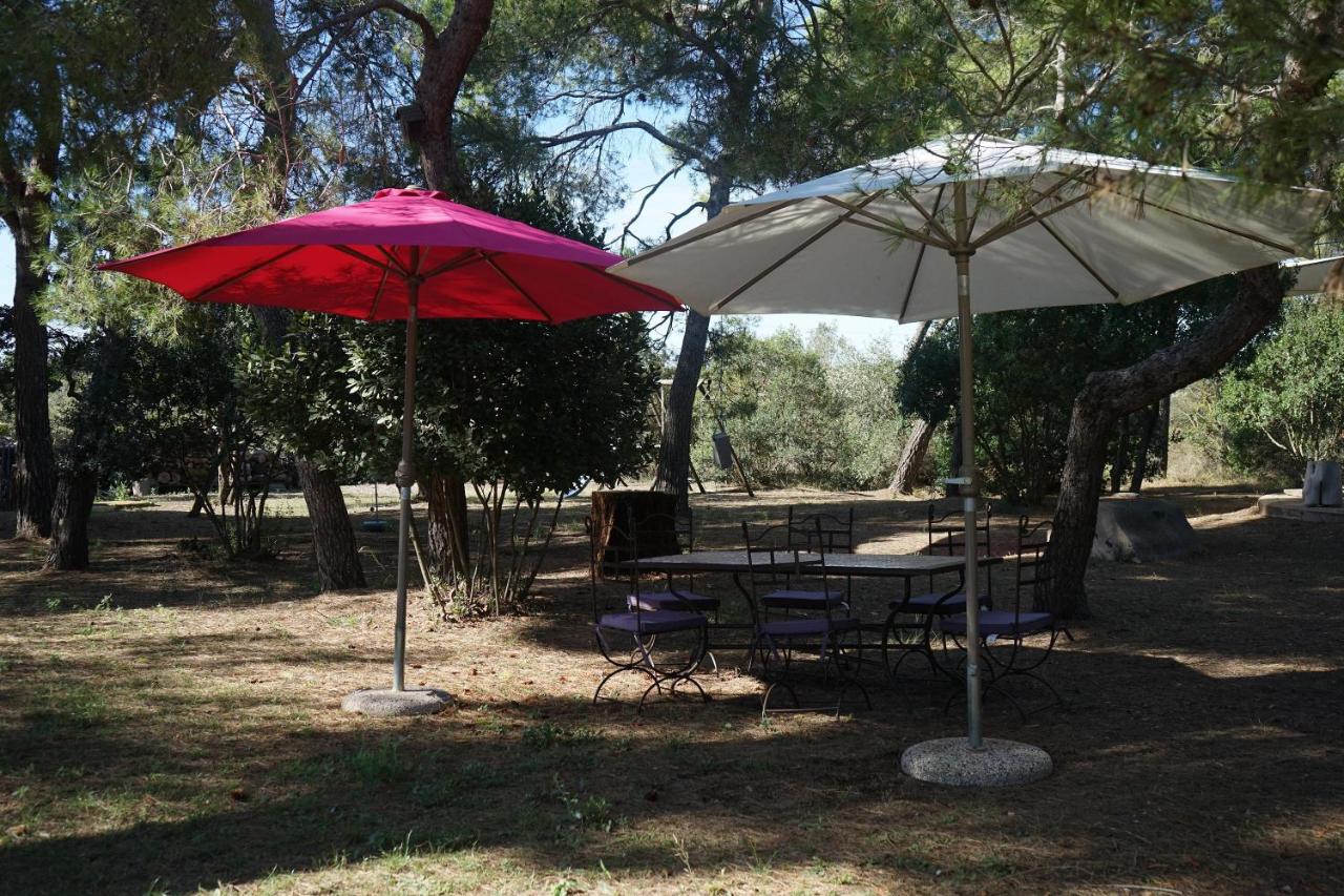 Joli Mas au bord de l'Etang de Thau - B&B