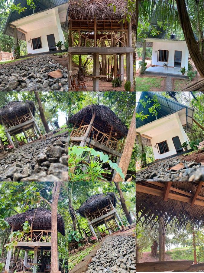 Wauthaulla Homestay - B&B