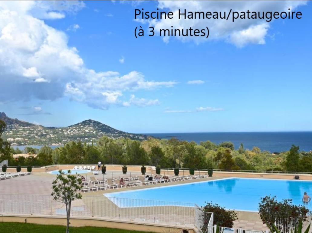Le rêve d'azur - B&B