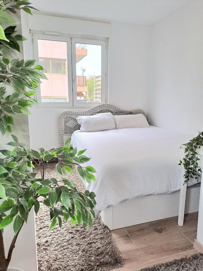 Charmant appartement cosy plage, gare, centre-ville - B&B Cagnes-sur-Mer