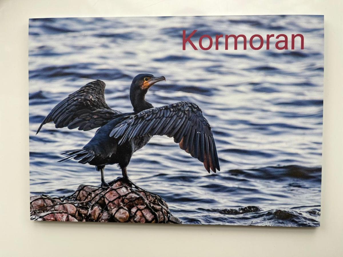 Ostseedomizil "Ankerbuk", Ferienwohnung Kormoran - B&B Born