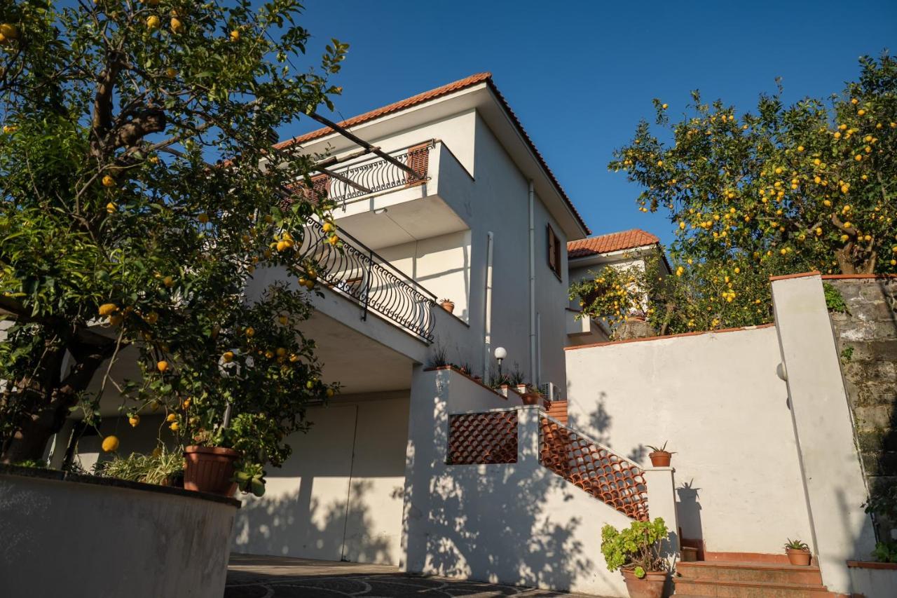 Lemon Riviera Casa Vacanze - B&B Massa Lubrense