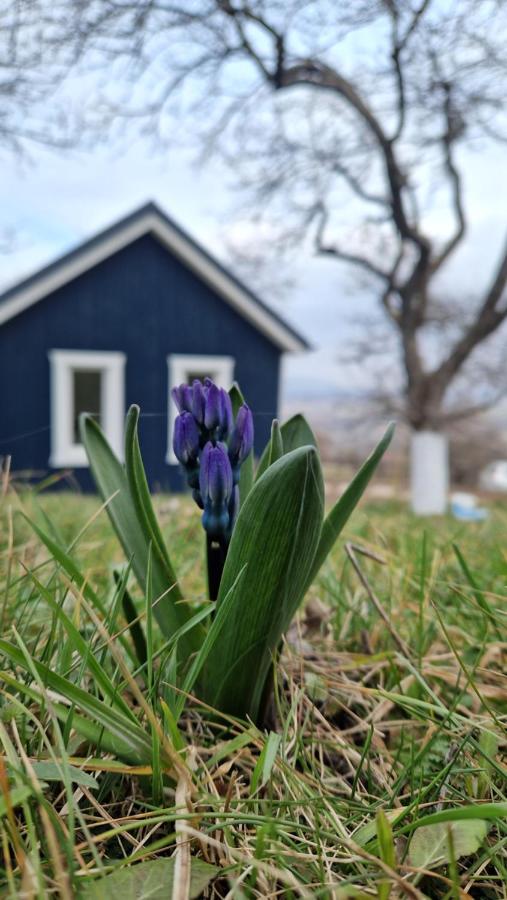 Tiny Nest - B&B
