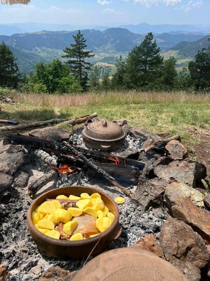 Koliba Dobro drvo - Chambres d’hôtes Zlatibor