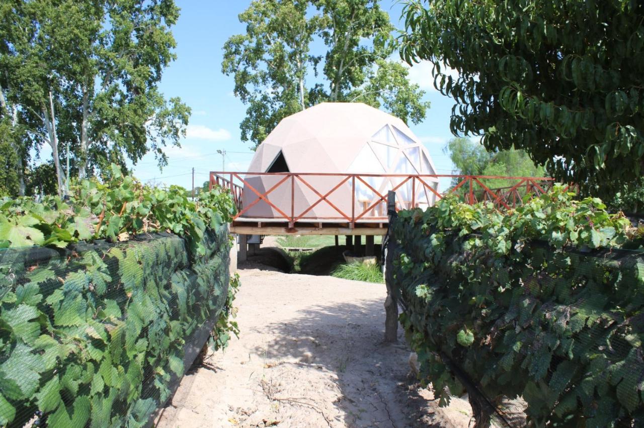 Terrruño Domos - B&B Ciudad Luján de Cuyo