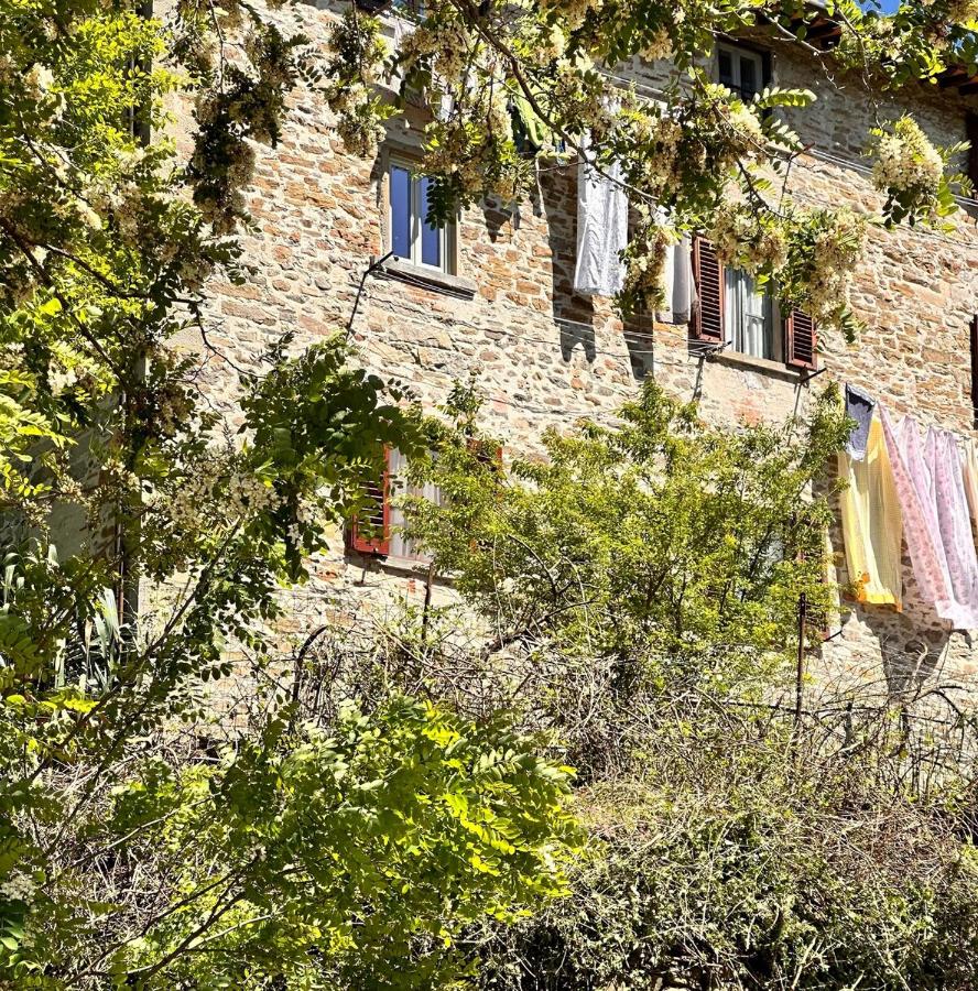 La sosta al lago - B&B