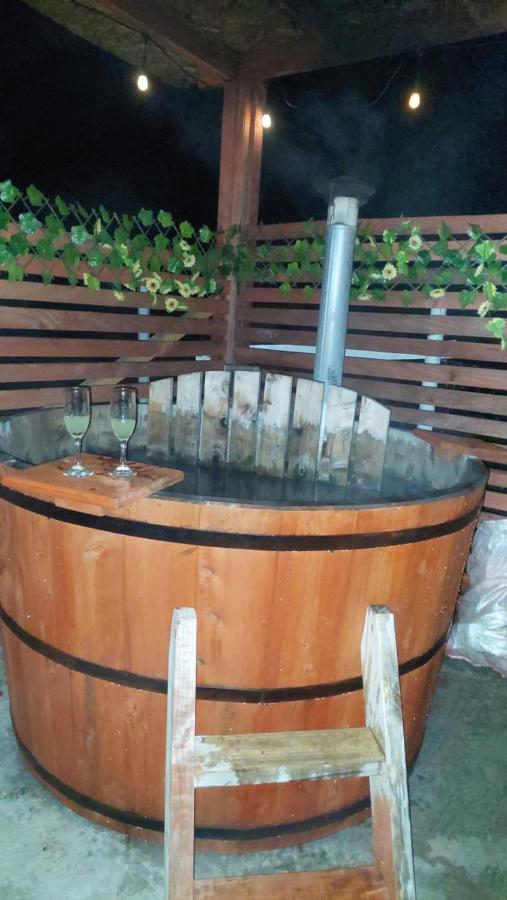Cabaña viejo Roble - B&B Traipo