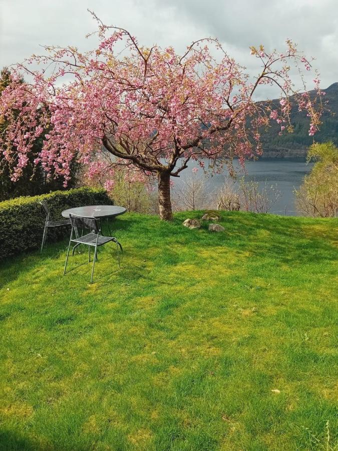 Sandeidfjorden overnatting - B&B