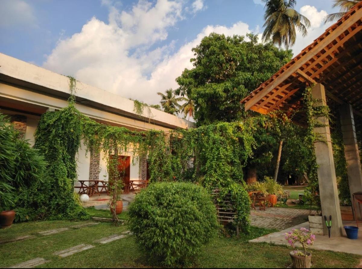 Candela Garden - B&B