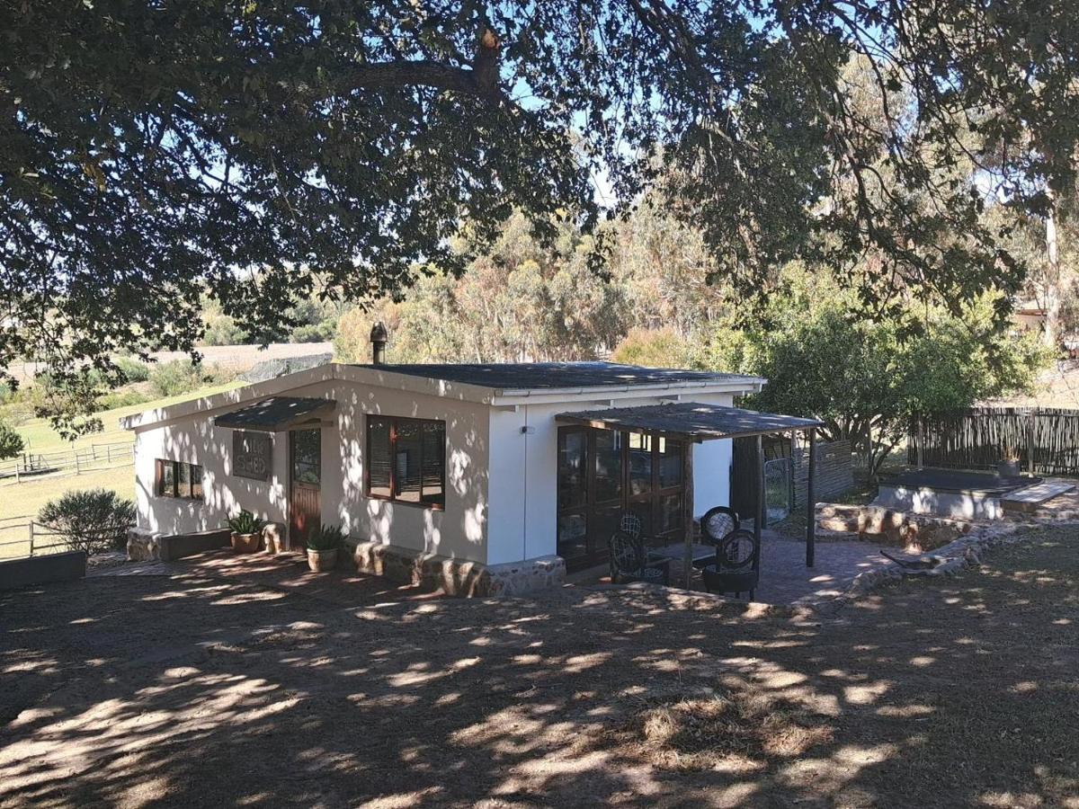 Kleinwatervalplaas Farm Stay Accomodation - B&B
