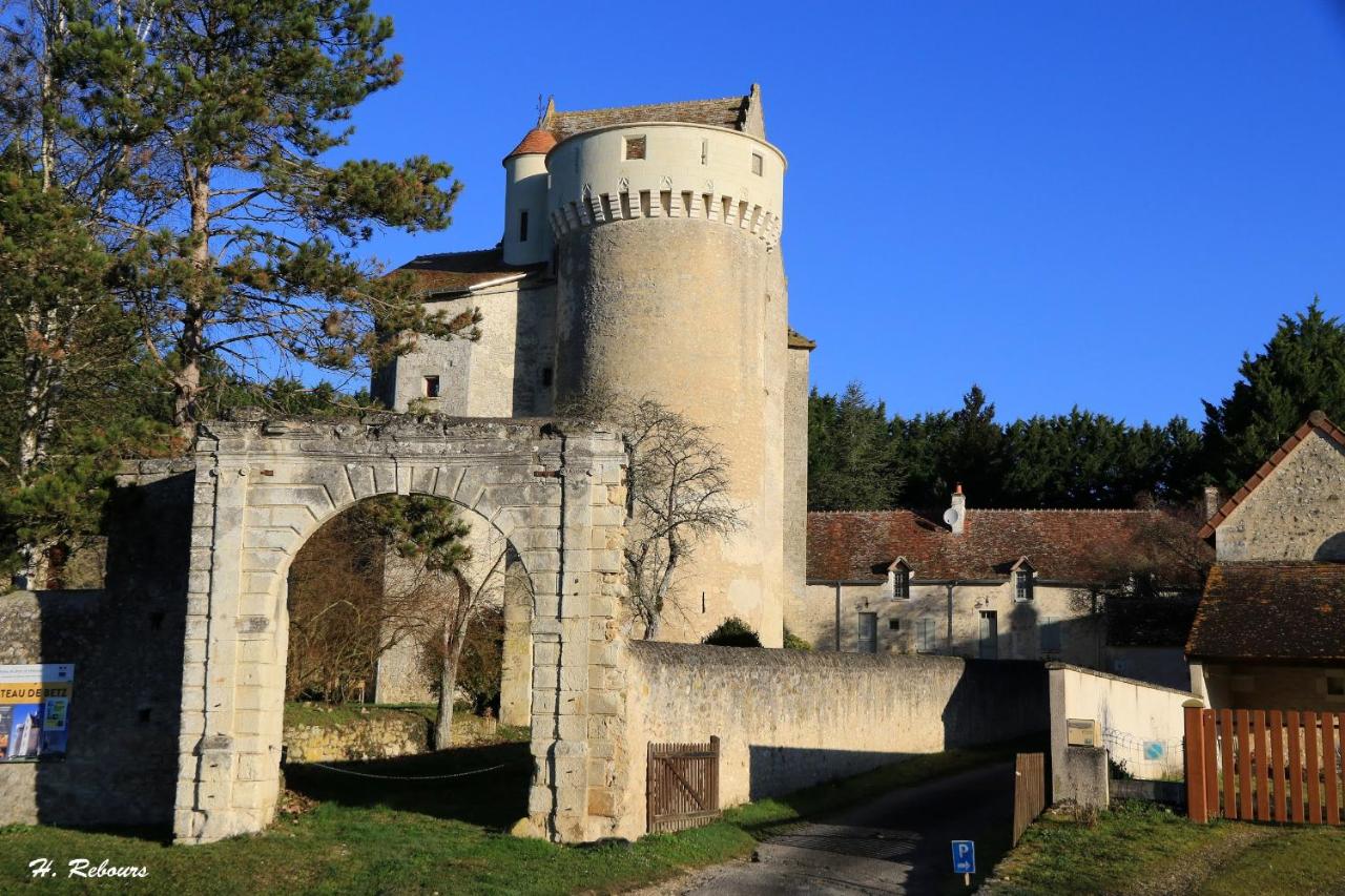 Grand gîte au château de Betz-le-Château - B&B