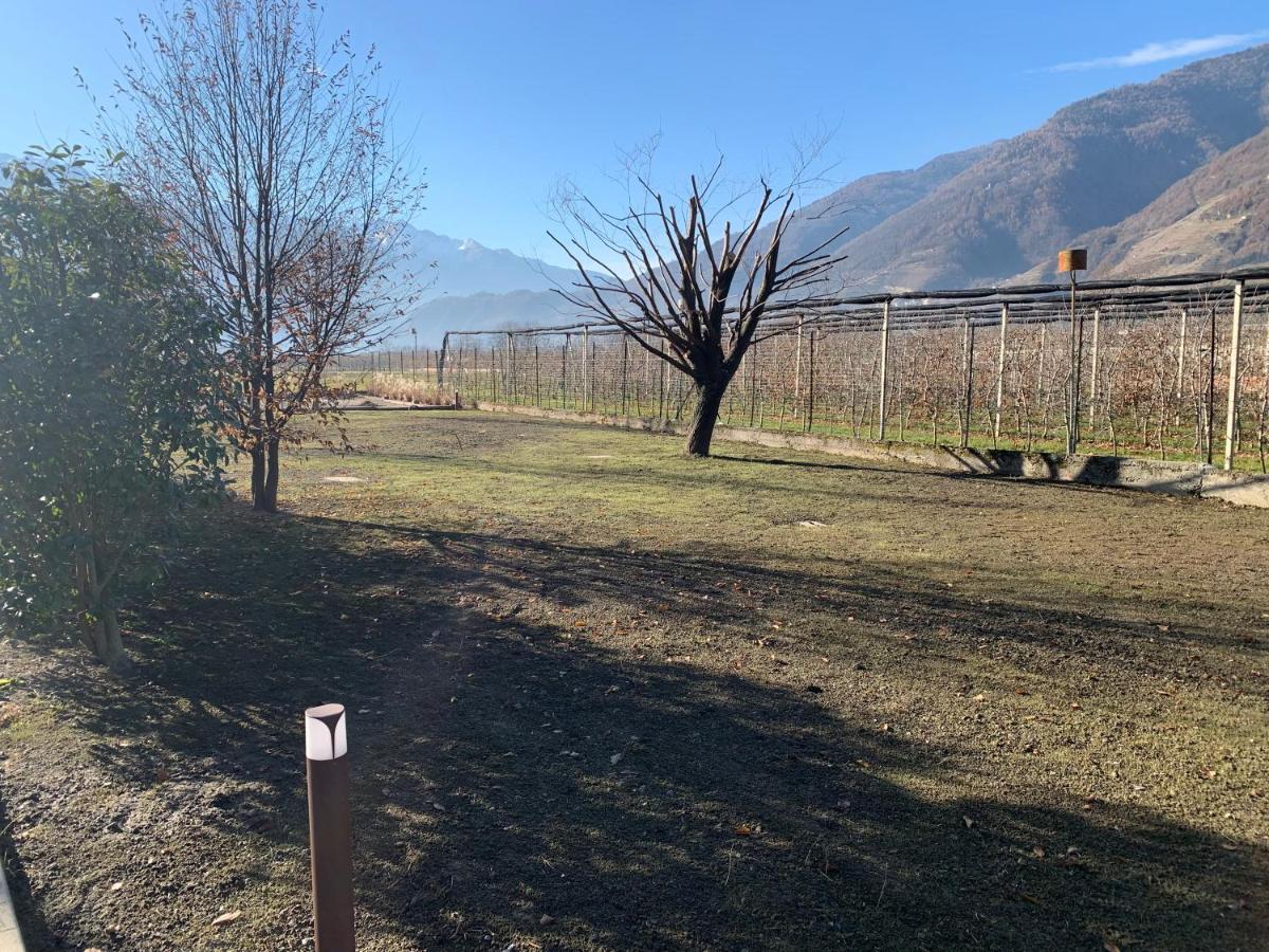 IL COMO' DELLA CIVETTA - Nido della Civetta - B&B