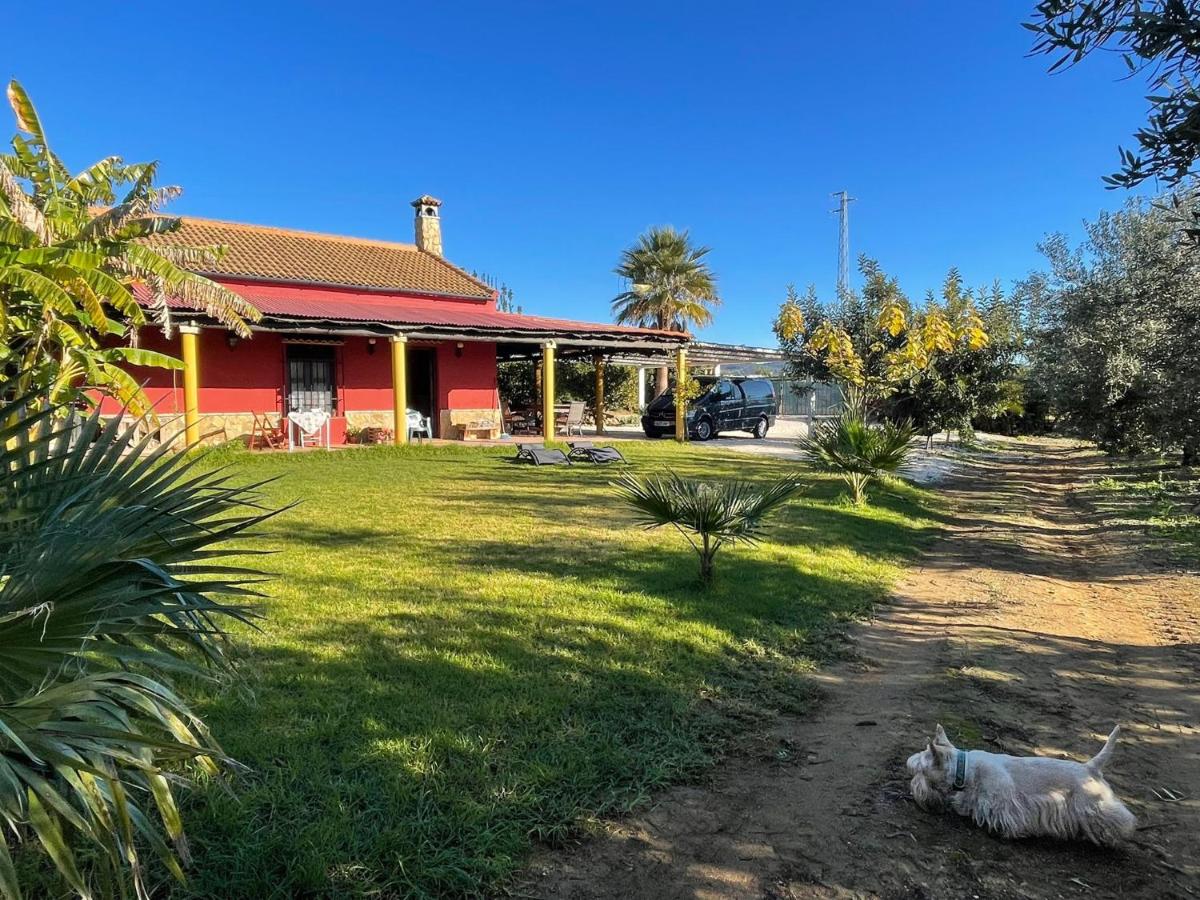 La Buganvilla, descanso entre olivares - B&B