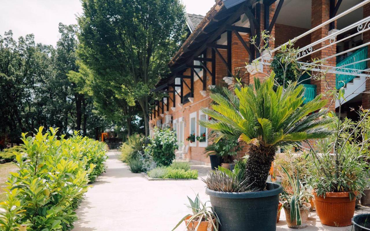 Zornića Kuća - Bed and Breakfast