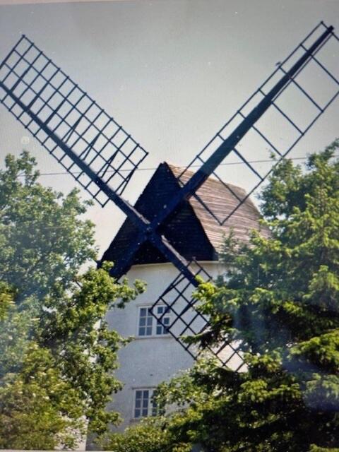 Gibbet Windmill pet friendly house & paddock - B&B