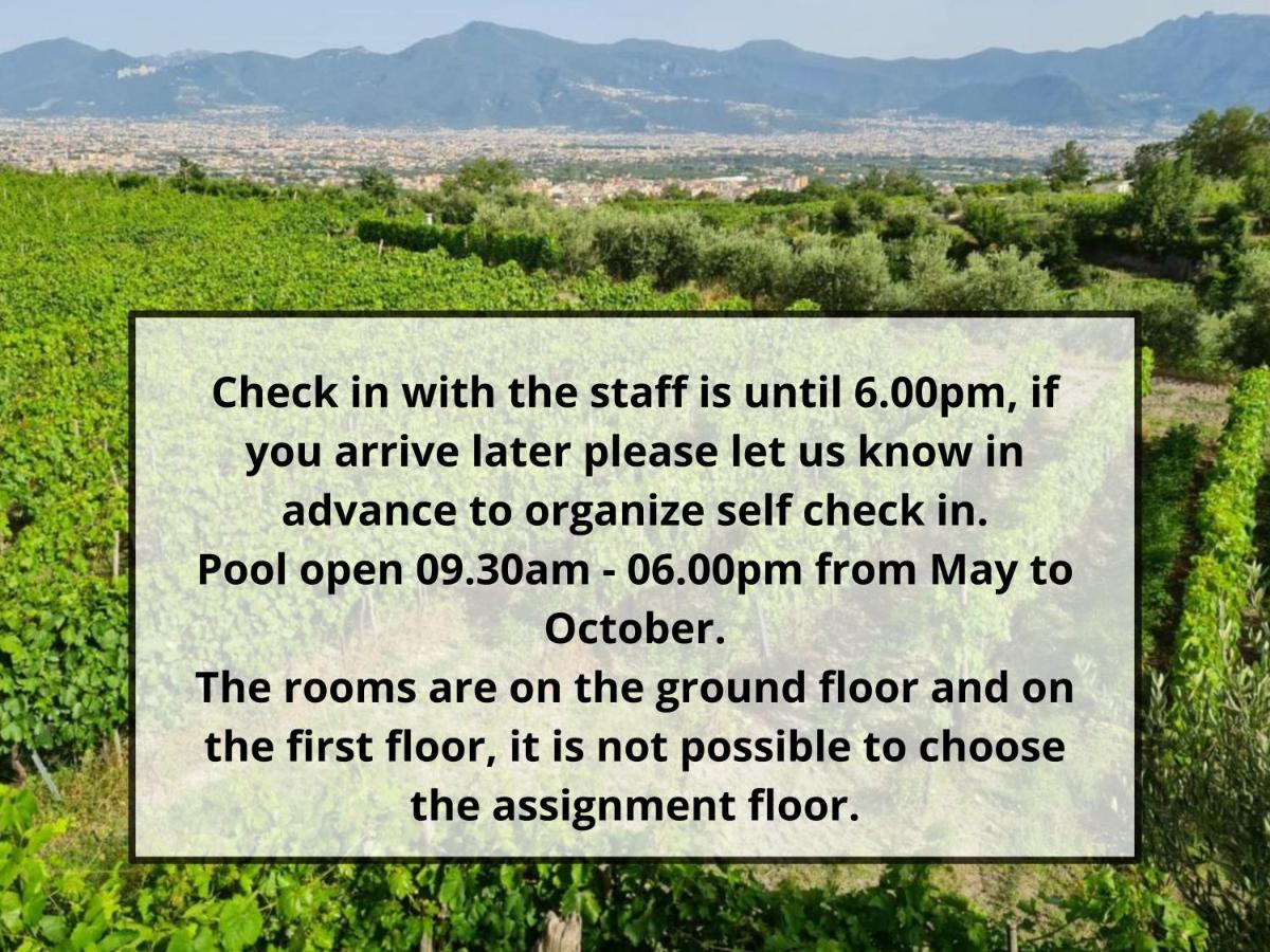 Vesuvio Inn Bed & Wine Experience - B&B