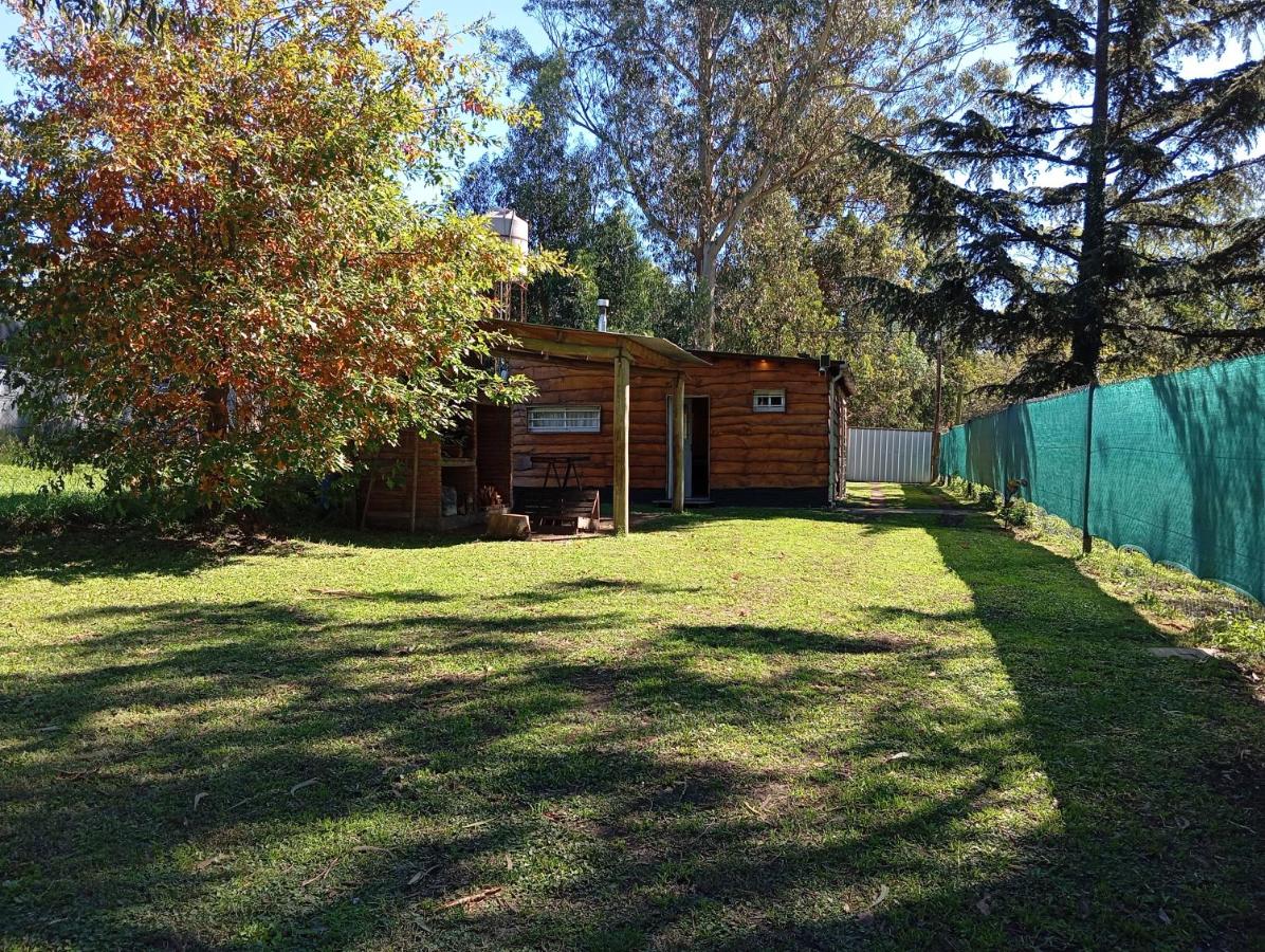 Cabaña Entre Arboles - B&B