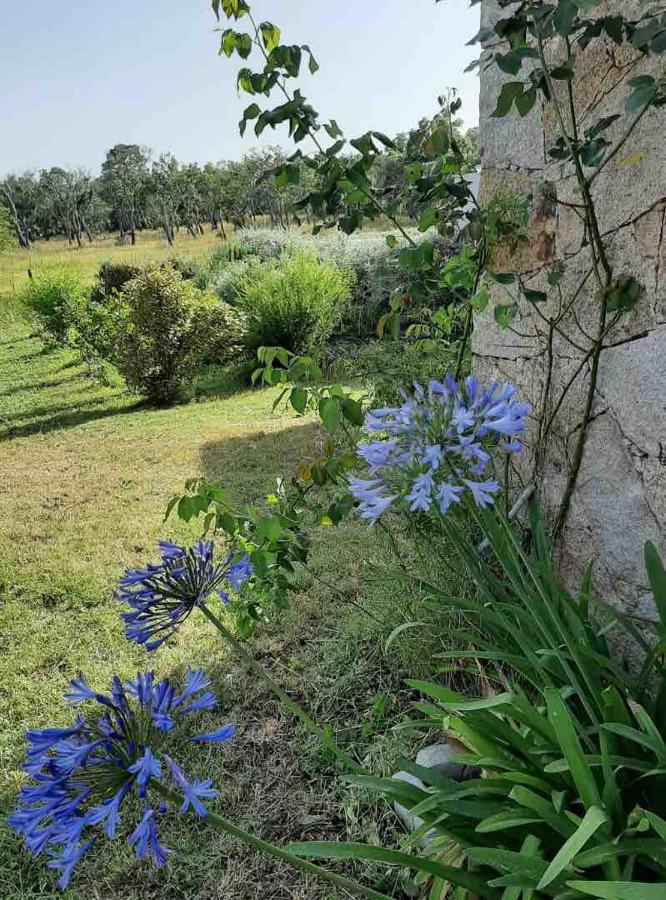 Casa Vacacional de 3 dormitorios 