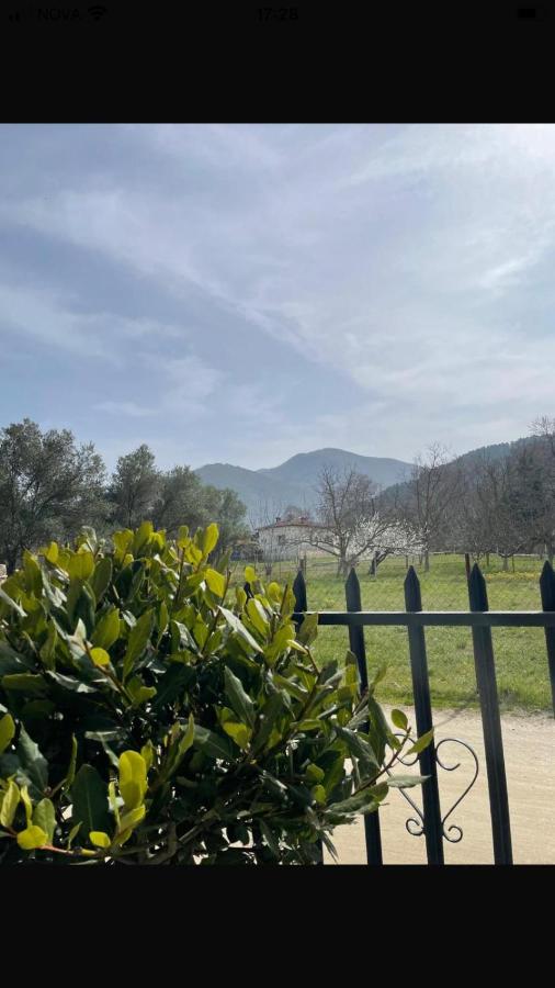 Anastasias Holiday House - B&B