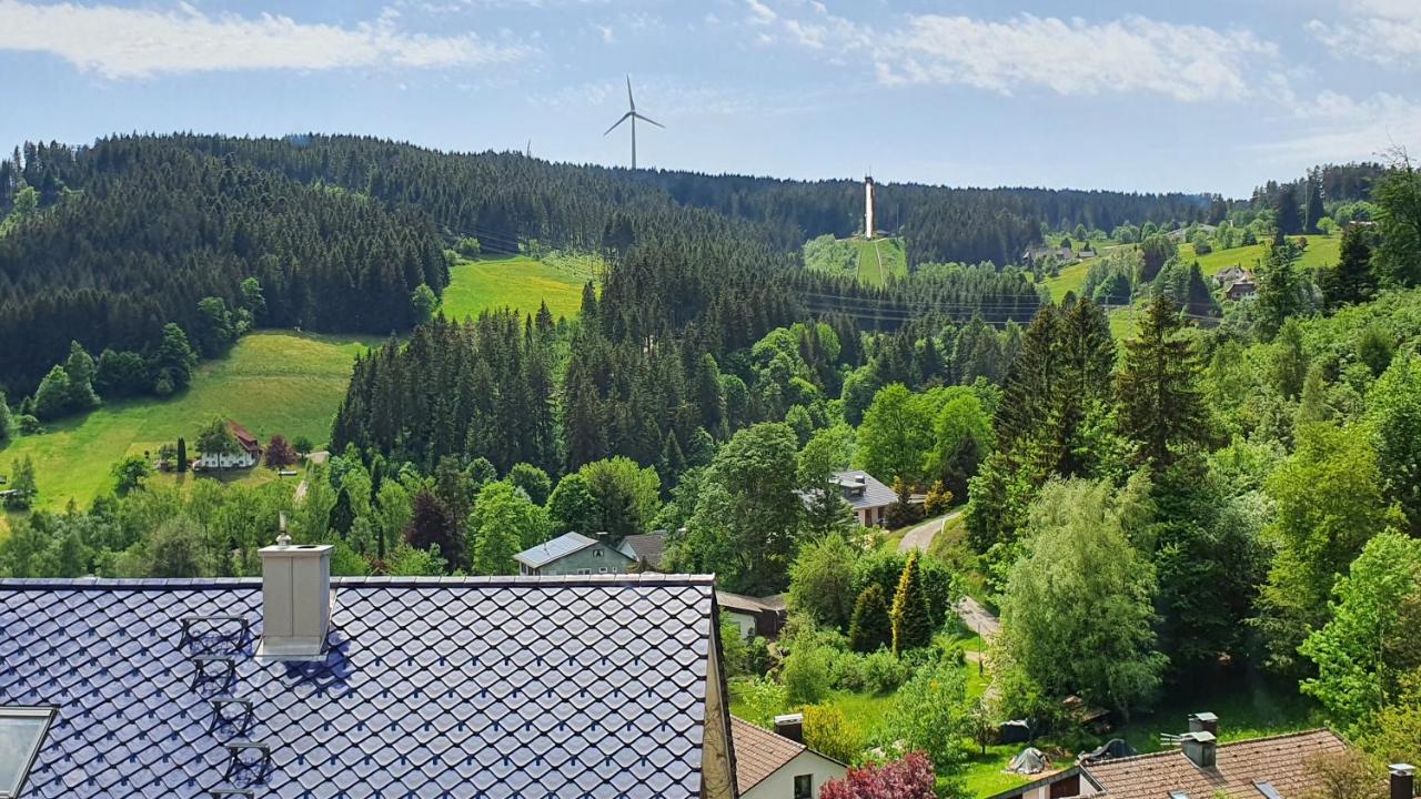 Gemütliche Wohnung mit schöner Aussicht - Bed and Breakfast Schonach