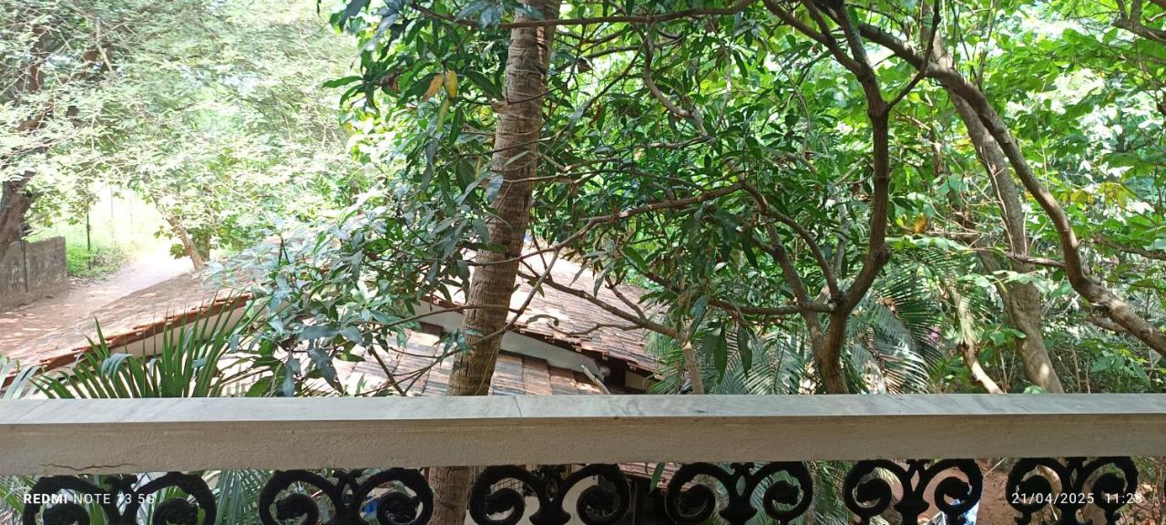 Jacinta's - By the beach - Cruz's place - B&B Calangute