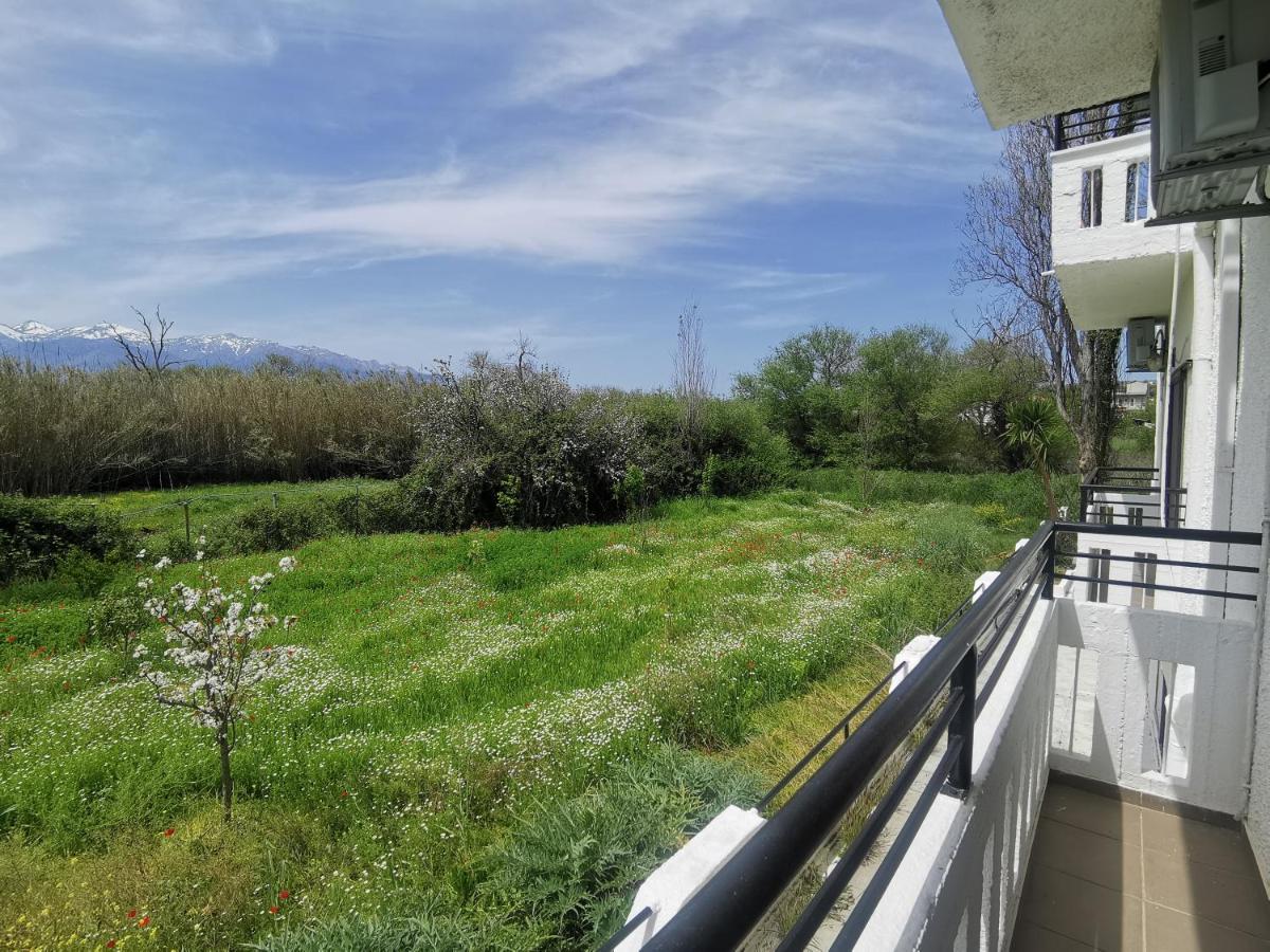 Studio with Mountain View