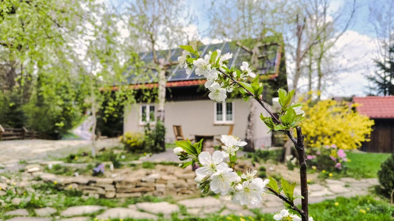 Dom nad Potokiem z sauną - B&B