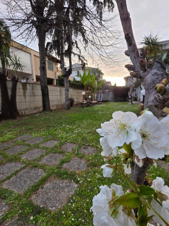 Donna Rosa - B&B