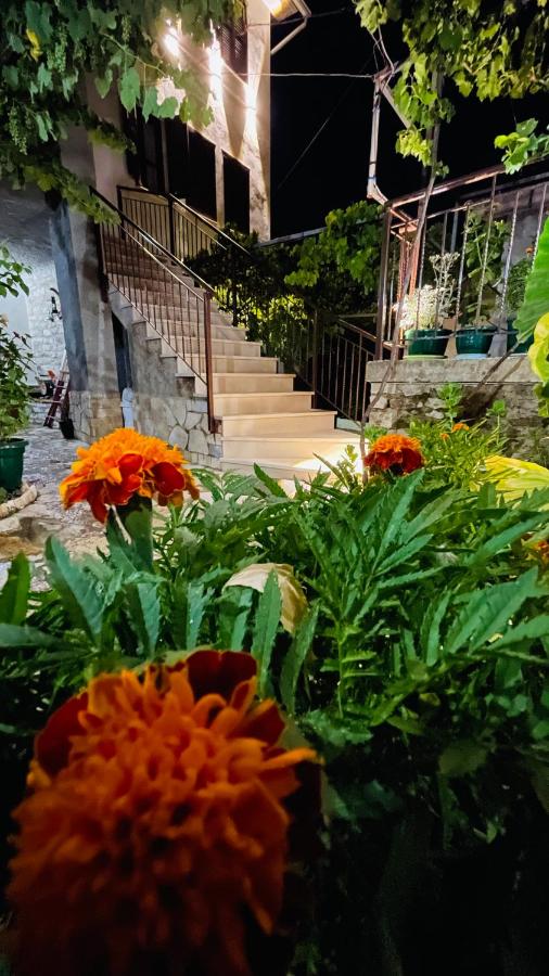 Denis House 1930 - Bed and Breakfast Gjirokastër