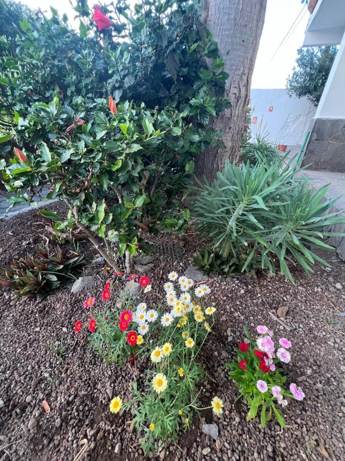 Oasis del Puerto Spacious Premium Apartment - B&B Puerto de la Cruz