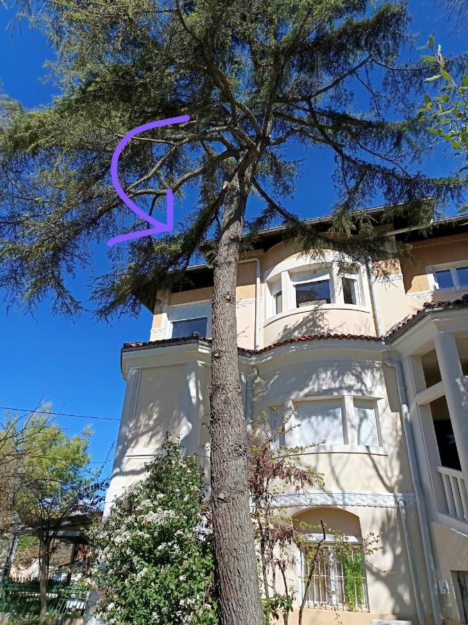 SEE MY SEA APARTMENT Luxury Heritage Home - Ferienwohnung Pula