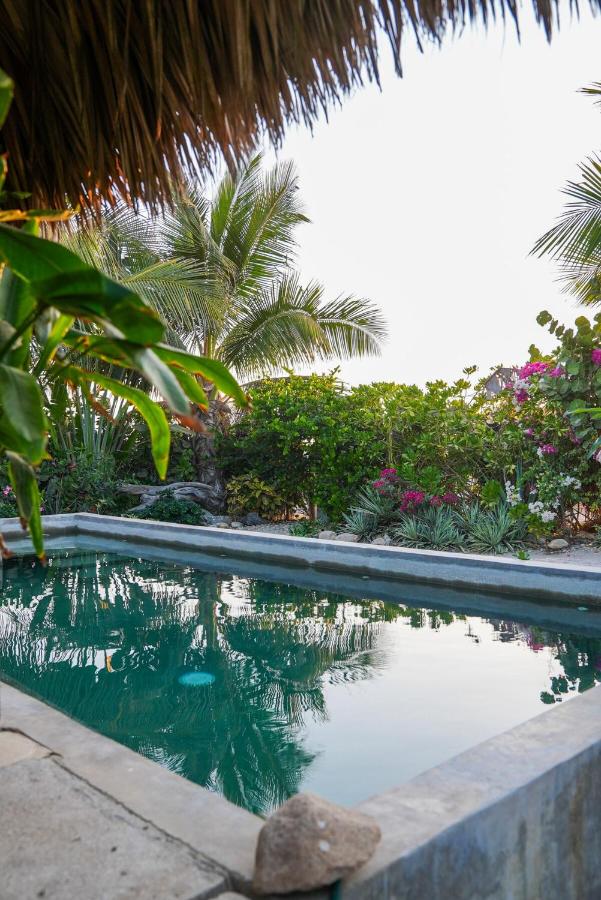 Ikal Puertecito Beach front House - B&B