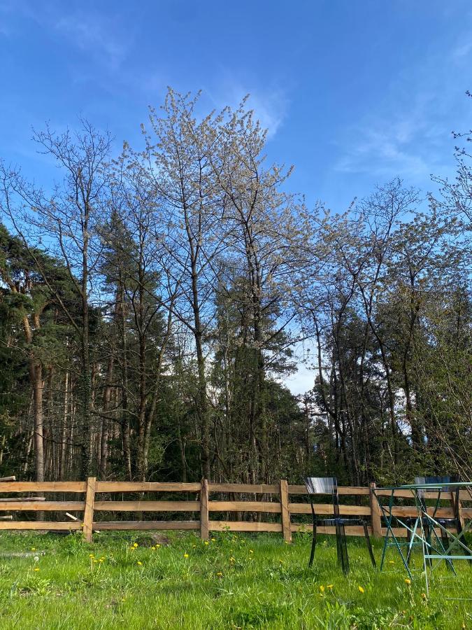 Birchboden Lodge - B&B