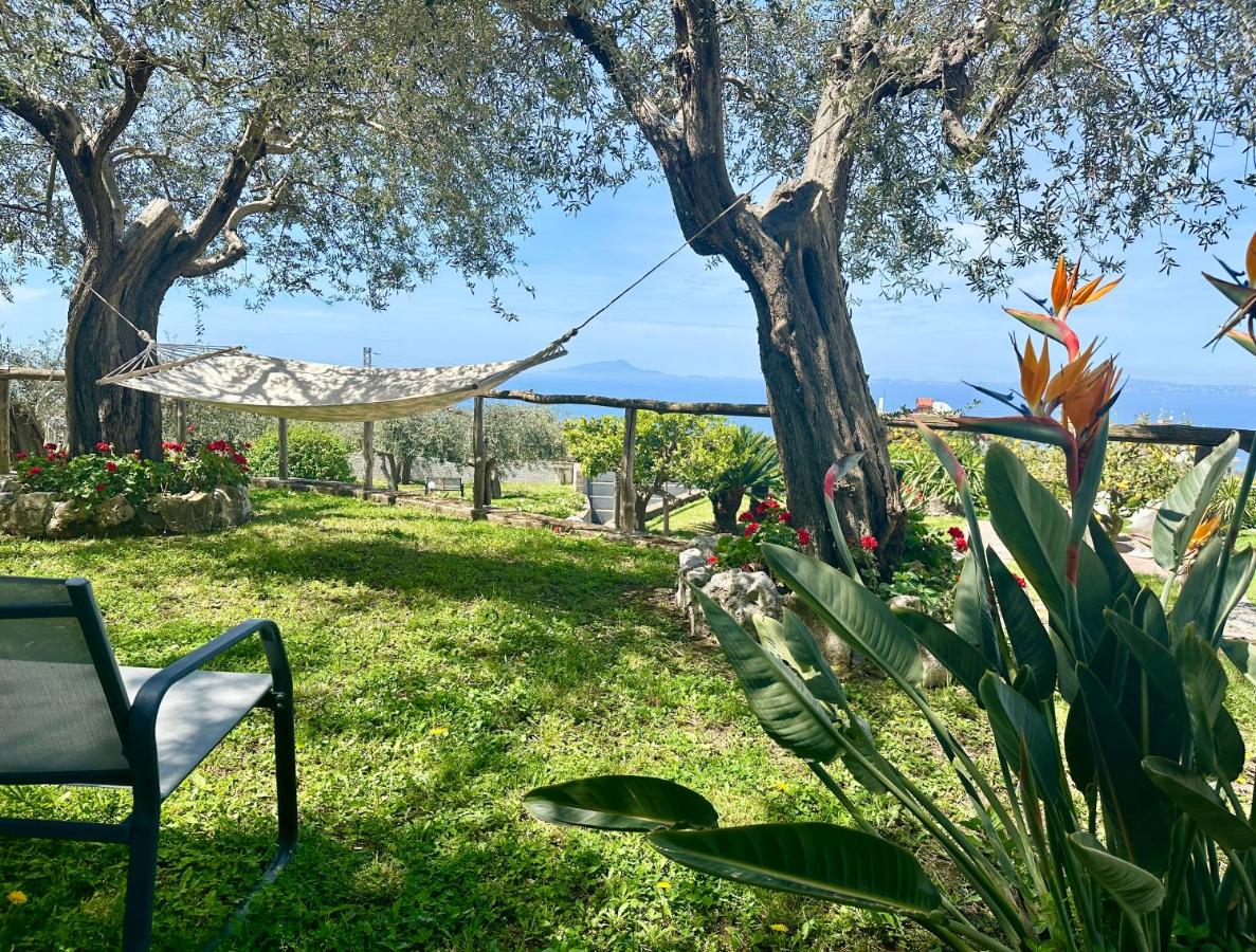 Villa Raf - B&B